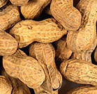 A huge recall of products that contain cumin spice possibly contaminated with peanut has been ongoing in the United States since December