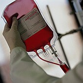 Low-dose iron supplements speed blood donors' recovery of iron and hemoglobin