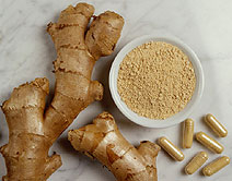 Ginger is effective for reducing pain in individuals with primary dysmenorrhea