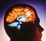 Physical and cognitive activity don't appear to prevent the brain from developing the biomarkers that are a hallmark of Alzheimer's disease
