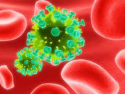 A single infusion of the potent human monoclonal antibody targeting the HIV-1 CD4 binding site