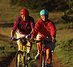 Injuries among older bicyclists have increased dramatically in recent years