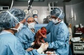 Fewer pregnant women had cesarean section births in Canadian hospitals that took part in a C-section review program