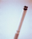Smokers are more likely to cut back or quit if they switch to cigarettes made from tobacco containing very low levels of nicotine