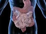 Viruses may play a role in inflammatory bowel diseases