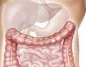 Regularly taking low-dose aspirin or other nonsteroidal anti-inflammatory drugs may lower long-term risk of colorectal cancer