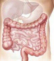 Regularly taking low-dose aspirin or other nonsteroidal anti-inflammatory drugs may lower long-term risk of colorectal cancer
