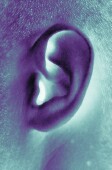 Repetitive transcranial magnetic stimulation can improve tinnitus severity