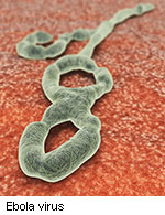 The Nebraska Biocontainment Unit has implemented a thorough process for decontamination after treatment of patients with potential or confirmed Ebola virus disease