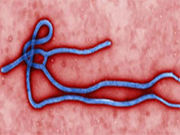 The two-year Ebola outbreak in West Africa that claimed more than 11