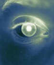 Delivery of antioxidants to the eye may be a therapeutic option for cataracts
