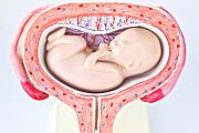 Unique presentation of herpes simplex virus infection in pregnancy can be misdiagnosed as premature rupture of membranes