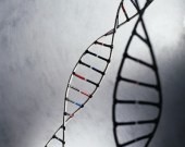 A majority of Americans taking part in a new poll said they'd be interested in genetic testing to see if they or their children are at risk for serious illnesses. The findings were published online March 6 in Public Health Genomics.