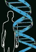 Scientists have issued a comprehensive map of human epigenomes -- the range of chemical and structural shifts that determine how genes govern health. The group published the new map online Feb. 18 in <i>Nature</i>