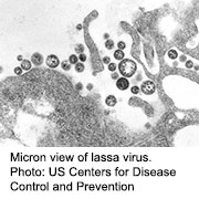 A man who returned to the United States after traveling to Liberia in West Africa has died of Lassa fever