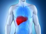 Liver transplant recipients have a lower rate of infection with receipt of prebiotics and probiotics before surgery