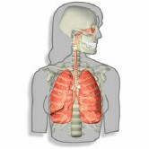 USPSTF Draft Recommendation Urges Against COPD Screening The U.S. Preventive Services Task Force (USPSTF) has found no net benefit for chronic obstructive pulmonary disease screening in asymptomatic adults and consequently recommends against screening. These findings form the basis of a draft recommendation statement published online Aug. 17 by the USPSTF.