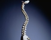 Physical therapy may be just as good as surgery for older adults with lower back pain due to lumbar spinal stenosis