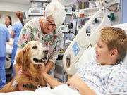 Therapy dogs appear to provide children being treated for cancer with both physical and mental benefits