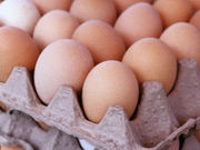 A low allergenic hydrolyzed egg preparation seems to be safe for use in egg-allergic children