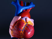For patients undergoing transcatheter aortic valve replacement