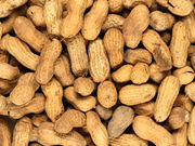 The risk of anaphylaxis is increased upon peanut introduction in siblings of children with peanut allergy