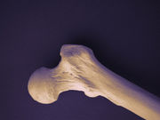 In postmenopausal women with osteoporosis