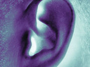 Patients with tinnitus may find some immediate relief with nasally-administered oxytocin