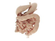 Recently developed educational methods have improved patient compliance with bowel preparation for colonoscopy