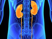 Thirty million American adults (one in seven) have chronic kidney disease -- but many don't know it