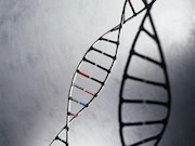 A novel genetic variant has been identified in the IGF2 gene among a Latino population that is associated with reduced risk for type 2 diabetes