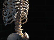 The U.S. Preventive Services Task Force has concluded that the current evidence is insufficient to assess the balance of benefits and harms of screening for adolescent idiopathic scoliosis in children and adolescents aged 10 to 18 years. The recommendation statement has been published in the Jan. 9 issue of the Journal of the American Medical Association.