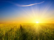 High sun exposure may lower the risk of multiple sclerosis