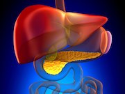 Use of short-acting calcium channel blockers is associated with increased risk of pancreatic cancer in postmenopausal women