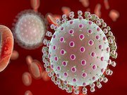 Zika virus (ZIKV) RNA is frequently present in the semen of men with symptomatic ZIKV infection and can persist for over six months
