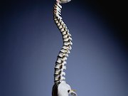 For patients with acute osteoporotic vertebral compression fractures