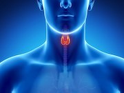 Male thyroid cancer survivors have a nearly 50 percent higher risk of developing cardiovascular disease than female survivors within five years of cancer diagnosis