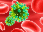 A mosaic adenovirus serotype 26-based HIV-1 vaccine induces immune responses in humans and rhesus monkeys