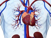 Stroke rates are lower at 30 days and five years after percutaneous coronary intervention than after coronary artery bypass grafting