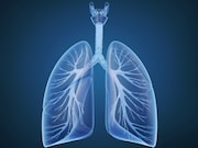 Chronic vaping exerts biological effects on the lung