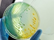 For patients colonized with methicillin-resistant Staphylococcus aureus (MRSA)
