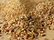 Higher intake of whole grains may be associated with a lower risk for hepatocellular carcinoma among U.S. adults