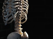 Less than 40 percent of osteoporosis clinical practice guidelines include any mention of patients' beliefs