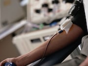 There is no increased risk for mortality among patients receiving red blood cell transfusions from female