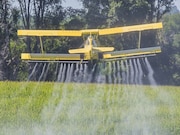 Even though the pesticide chlorpyrifos has been linked to brain harm in children