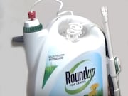 A man who was awarded $80.27 million in a lawsuit alleging Monsanto's Roundup weedkiller caused his cancer had that amount cut by $55 million by a judge.