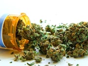 Following medical marijuana legalization in Massachusetts in 2012