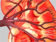 Considerable differences in histologic categorization are seen in sequential biopsies in deceased donor kidneys that undergo multiple procurement biopsies prior to transplantation