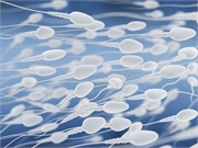 For couples seeking infertility treatment