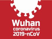 Multiple major cities in China are estimated to have imported cases of 2019 novel coronavirus and epidemics are estimated to be growing exponentially in those cities
